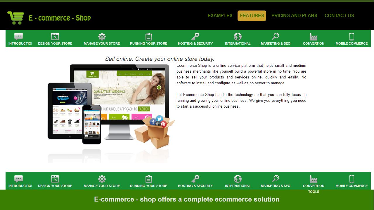 saas solution ecommerce online shopping store