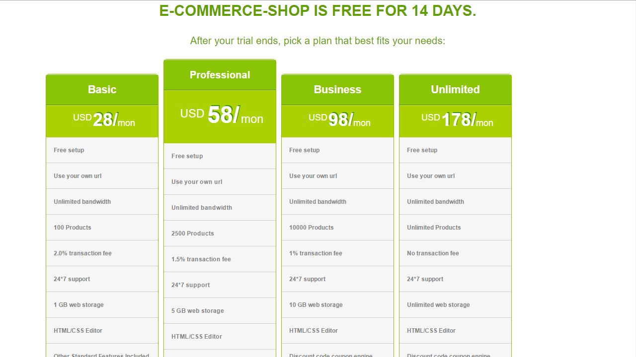 saas solution ecommerce online shopping store