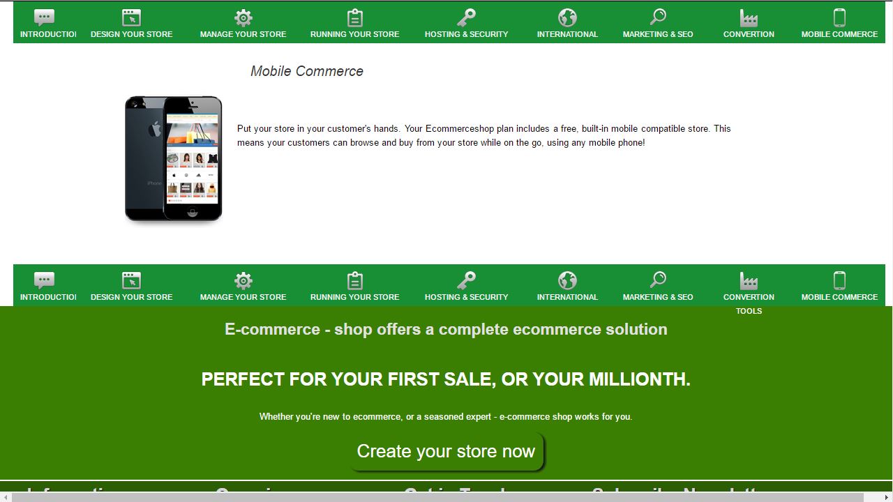 saas solution ecommerce online shopping store